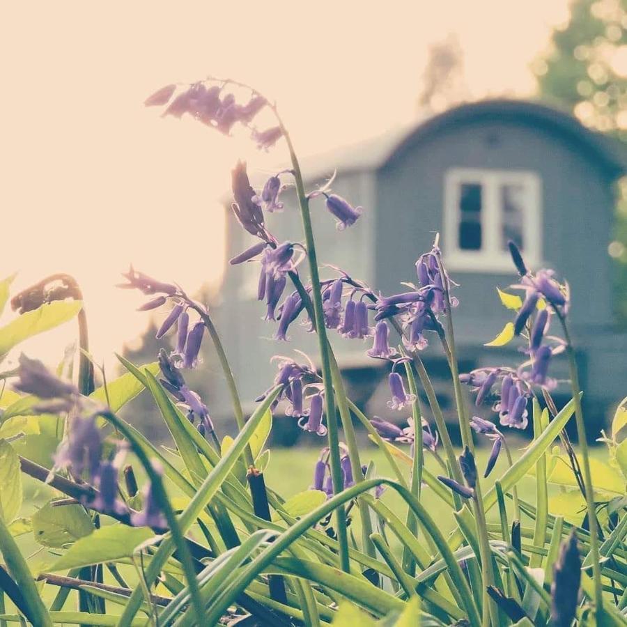 Skylark Shepherds Hut Royal Tunbridge Wells Εξωτερικό φωτογραφία